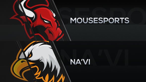 Cybersport CSGO Package
