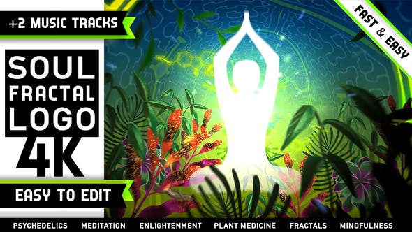 Psychedelic Fractals Logo