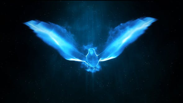 Magic Bird Logo