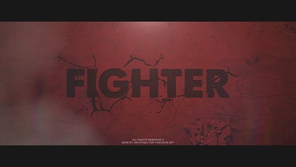 Fighter