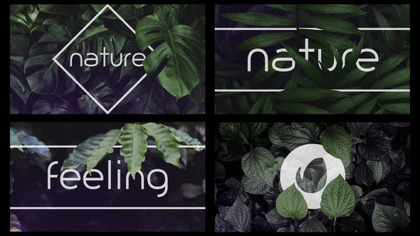 FREE) VIDEOHIVE NATURE LOGO INTRO - Free After Effects Templates (Official  Site) - Videohive projects