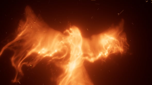 phoenix reveal after effects free download