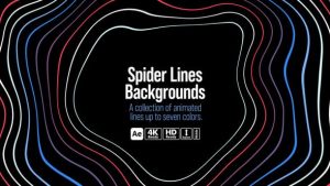 Spider Lines Backgrounds