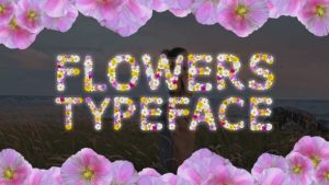 Field Flowers Typeface and Transition