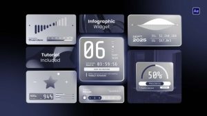 Infographic Widgets