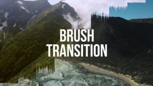 Brush Transition