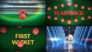 Cricket Bumper 5 (3-Bumpers)